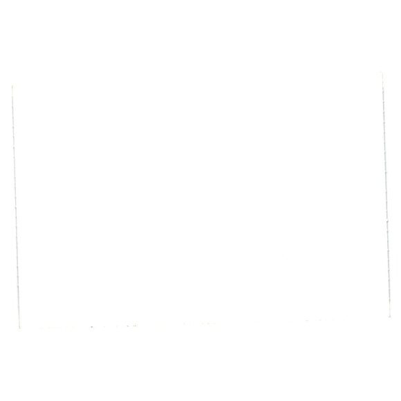 Vintage Dog Pushing Kitten Rustic Stroller Print Photography Art Vet Ad Card - Picture 2 of 2